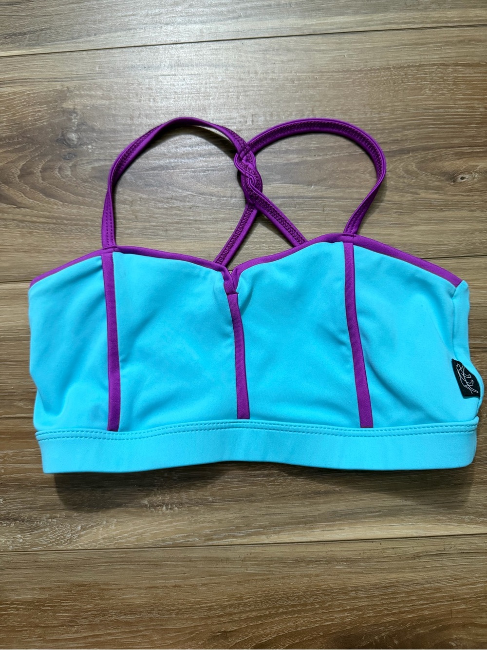 Tiger Friday AS Purple and Blue sports Bra